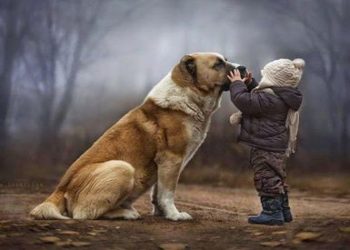 Γρηγόρης Κατωπόδης: «Δυσοίωνες εξελίξεις κυοφορεί το νομοσχέδιο για τα ζώα συντροφιάς»