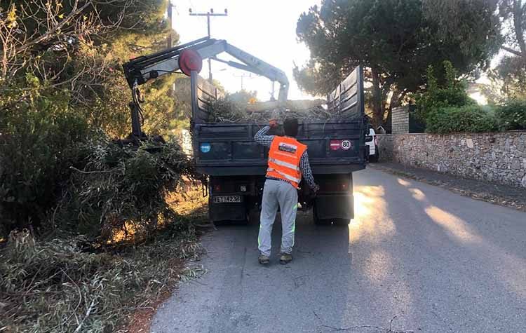 Ξεκίνησε ο καθαρισμός του πευκοδάσους στον Σχινιά
