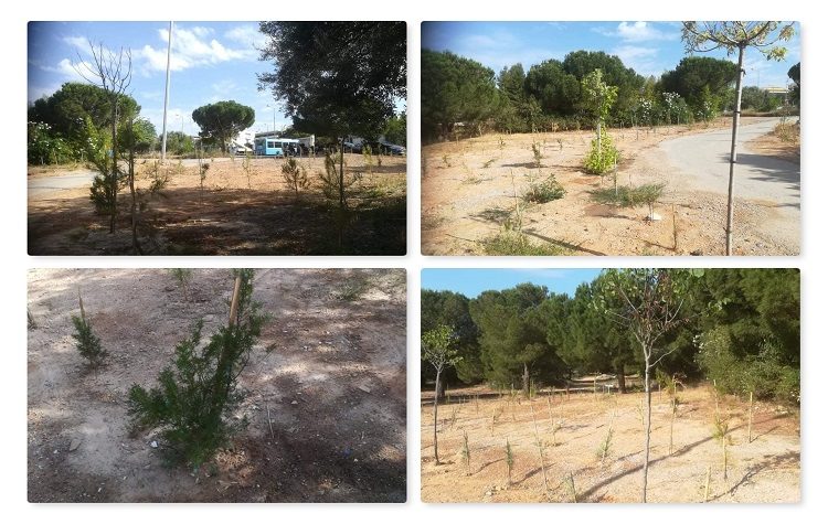 Με δεντροφύτευση τίμησε ο Δήμος την 7η Εβδομάδα Περιβάλλοντος
