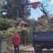 Τα συνεργεία του Δήμου συνεχίζουν την αποκομιδή κλαδιών
