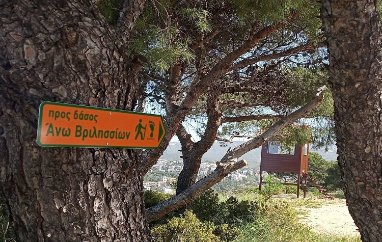 Πεζοπορία Φροντίδας στο Δάσους Θεοκλήτου για την Παγκόσμια Ημέρα Περιβάλλοντος