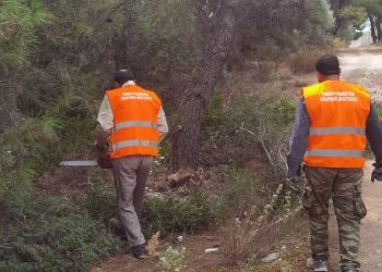 Επιχείρηση «Δρυάδες» για την αντιπυρική θωράκιση του Δήμου