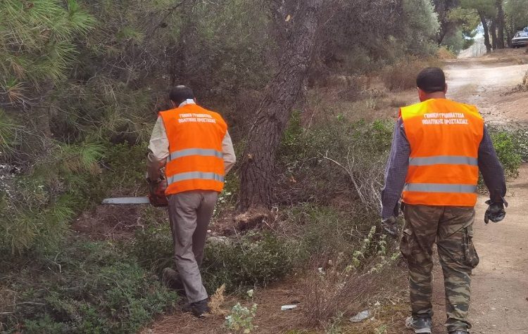 Επιχείρηση «Δρυάδες» για την αντιπυρική θωράκιση του Δήμου