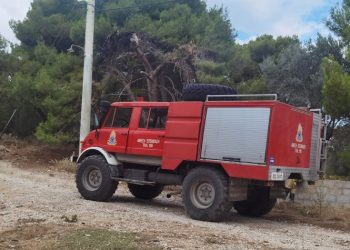 Επιχείρηση «Δρυάδες» για την αντιπυρική θωράκιση του Δήμου