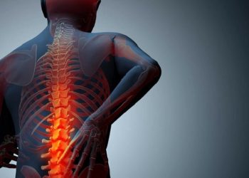 Δωρεάν προληπτικός έλεγχος οστεοπόρωσης την Παρασκευή 2 Ιουλίου στη Ν. Μάκρη