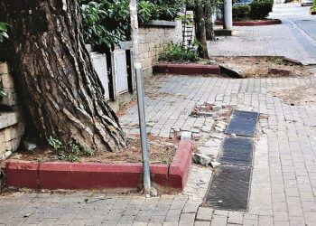 Παρτέρια του Δήμου Αμαρουσίου και τρίχες