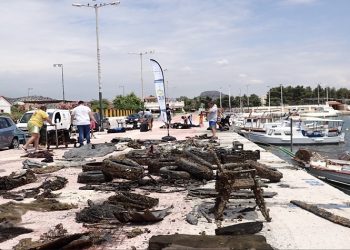 Συγκροτημένη περιβαλλοντική πολιτική και δράσεις από την INTERAMERICAN