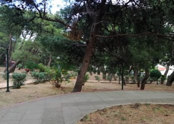 Προχωρoύν οι καθαρισμοί των δασικών εκτάσεων της πόλης