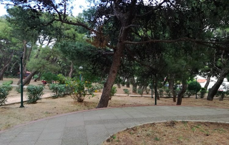 Προχωρoύν οι καθαρισμοί των δασικών εκτάσεων της πόλης