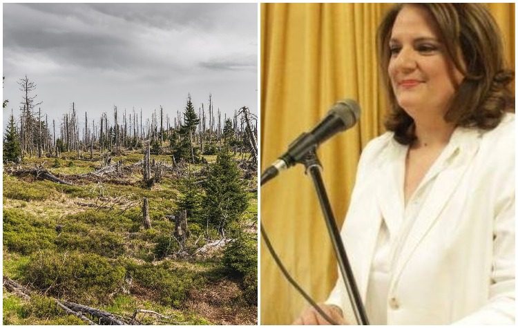 «Κοινωνία Παρούσα»: Καμπάνια ενημέρωσης και κινητοποίησης για το Περιβάλλον (Βίντεο)