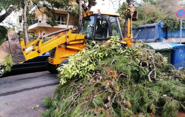 «Ξεσπάθωσε» κατά δημοτών για τα κλαδέματα η Διεύθυνση Καθαριότητας του Δήμου