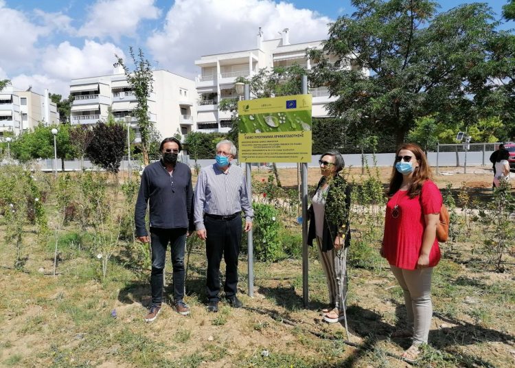 Σε τελικό στάδιο ο «πράσινος» χώρος στον Άγιο Θωμά, στο πλαίσιο του προγράμματος Life Grin