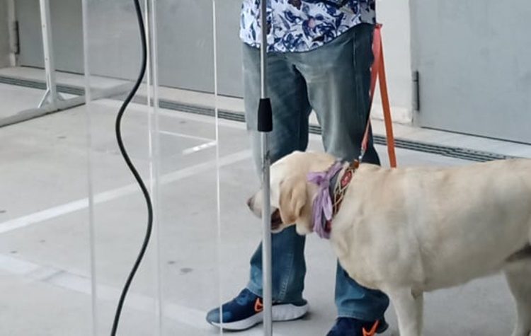 Επιτυχημένη η ενημερωτική δράση «Ανάπτυξη σχέσης με τον σκύλο»