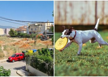 Άνοιξε ο δρόμος για έξι πάρκα σκύλων στον Δήμο Χαλανδρίου