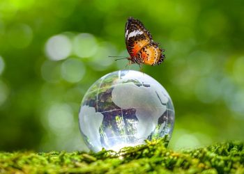 Να καλλιεργήσουμε την Περιβαλλοντική μας συνείδηση