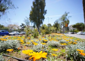 Πέντε βραβεία για το Περιβάλλον στον Δήμο
