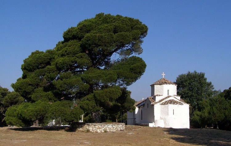 Δεν θα πραγματοποιηθεί το πανηγύρι της Αγίας Τριάδος