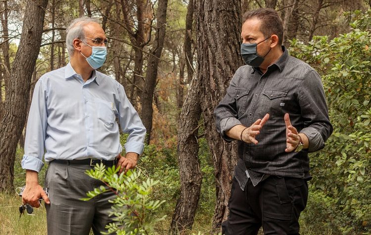 Αυτοψία Πέτσα, Θωμάκου στα δάση Καστρίτσας και Φασίδερι