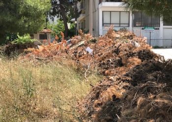 «Η εγκατάλειψη στη γειτονιά της πλατείας Χαράς και οι κίνδυνοι  πυρκαγιάς»