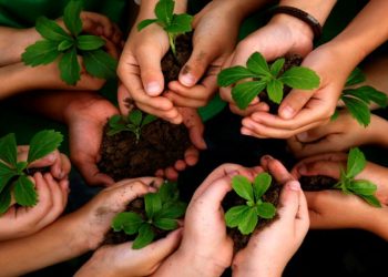 Ανδρέας Ευθυμίου: «Η πανδημία, αφορμή αφύπνισης της περιβαλλοντικής συνείδησης»