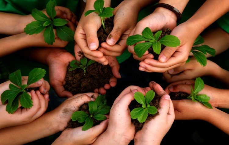 Ανδρέας Ευθυμίου: «Η πανδημία, αφορμή αφύπνισης της περιβαλλοντικής συνείδησης»