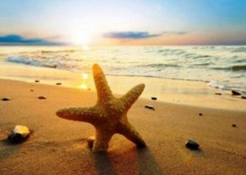 Διοργάνωση θαλάσσιων λουτρών έτους 2021