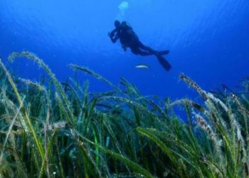 Στο μικρό Καβούρι και στη Βούλα 7 έως 11 Ιουνίου δράση συλλογής θαλάσσιων αποβλήτων