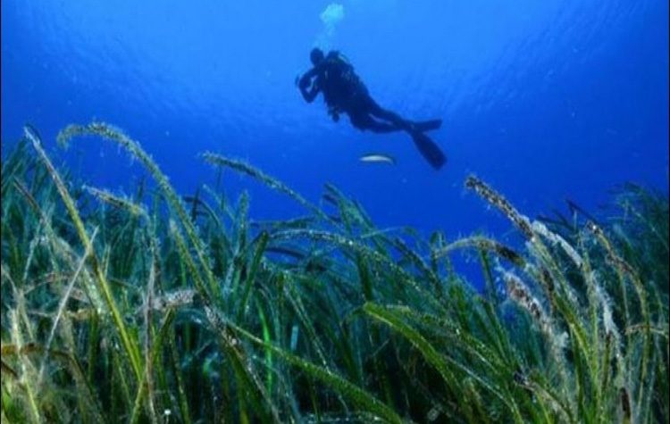 Στο μικρό Καβούρι και στη Βούλα 7 έως 11 Ιουνίου δράση συλλογής θαλάσσιων αποβλήτων
