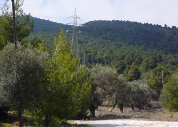 Ενεργοποιήθηκε η καθημερινή ενημέρωση κινδύνου πυρκαγιάς