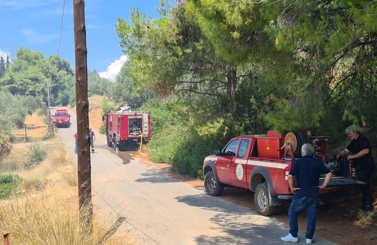 Πυρκαγιά σε δασική έκταση στο Συκάμινο Ωρωπού