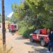 Πυρκαγιά σε δασική έκταση στο Συκάμινο Ωρωπού