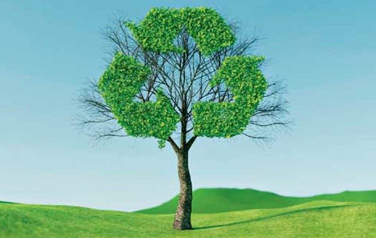 EOAN: Ο Οργανισμός Ανακύκλωσης εγγυάται την εφαρμογή του σχεδίου