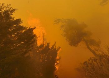 Μαίνεται η φωτιά στη Σταμάτα - Καλαφατέλης στην «Α»: «Πύρινο μέτωπο τριών χιλιομέτρων»