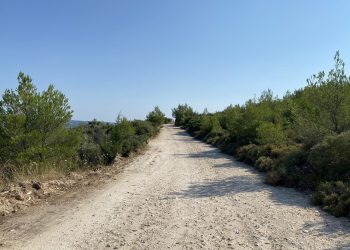 Ολοκληρώθηκε η συντήρηση δεκάδων δασικών δρόμων