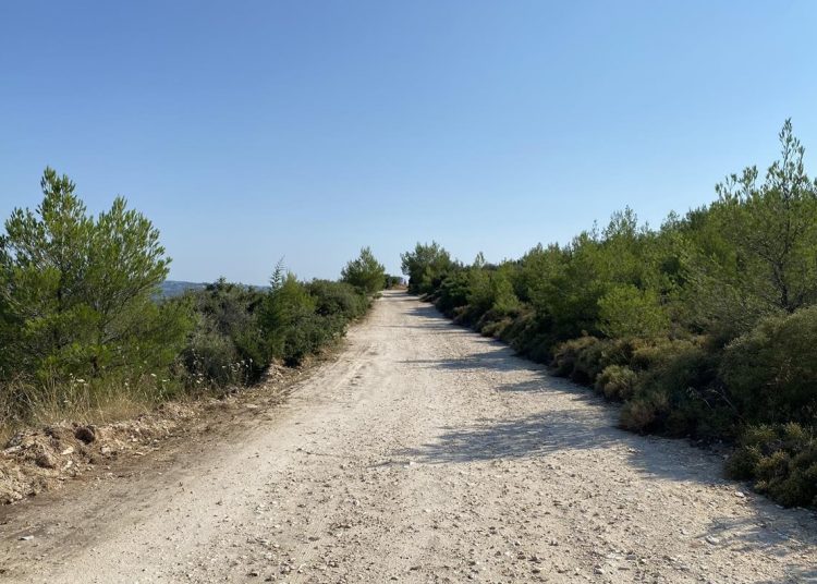 Ολοκληρώθηκε η συντήρηση δεκάδων δασικών δρόμων