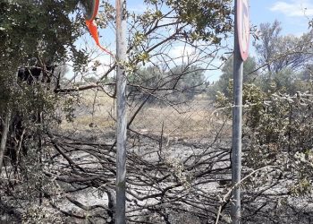 Έκκληση του Δήμου προς τους πολίτες: «Καθαρίστε τα οικόπεδά σας»