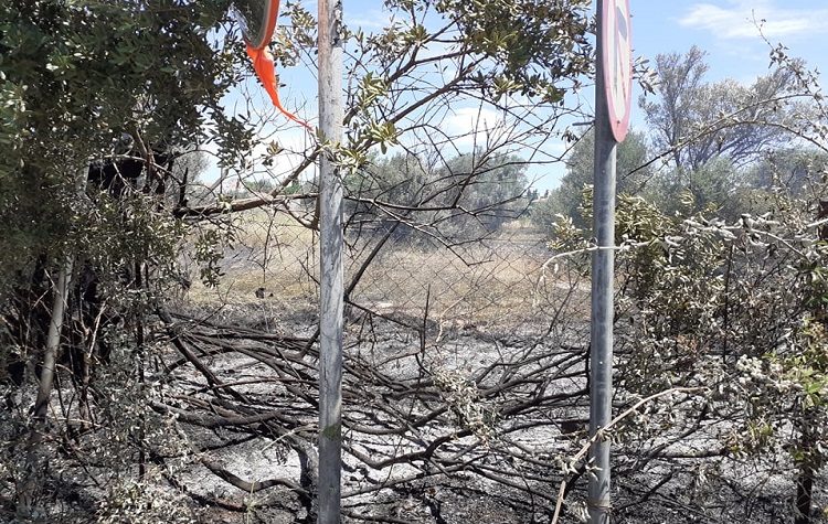 Έκκληση του Δήμου προς τους πολίτες: «Καθαρίστε τα οικόπεδά σας»