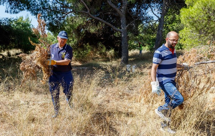 Δάσος Κεφαλαρίου: Δράση καθαρισμού από τον Δήμο - Απομακρύνθηκαν τεράστιες ποσότητες