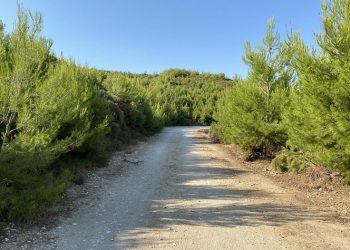 Δήμος Διονύσου: Προχωρά η συντήρηση σειράς δασικών δρόμων