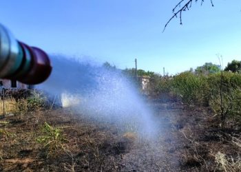 Φωτιά στο  Χαλάνδρι - Κάηκαν 2,5 στρέμματα γης (Εικόνες)