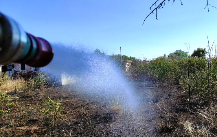 Φωτιά στο  Χαλάνδρι - Κάηκαν 2,5 στρέμματα γης (Εικόνες)