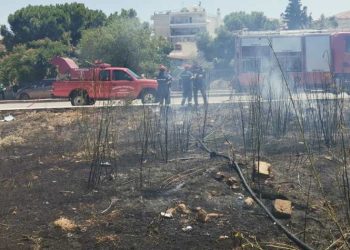 Πυρκαγιά στη Λεωφόρο Πλακεντίας - Κατασβέστηκε άμεσα (Εικόνες)