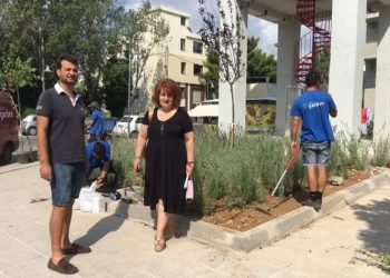 Συνεχίζονται οι φυτεύσεις καλλωπιστικών φυτών σε σημεία της πόλης