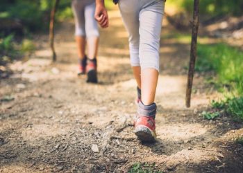 Νέα δράση πεζοπορίας από τον Περιβαλλοντικό Σύλλογο Πεντέλης την Παρασκευή 9 Ιουλίου