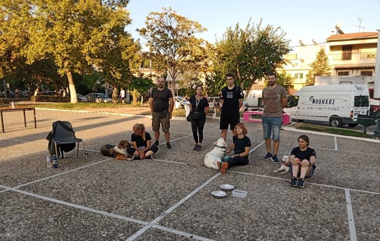 Ενημερωτική δράση για την κακοποίηση και προσφορά των ζώων