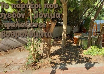 Κάτοικοι Ηλιακού Χωριού: «Πότε θα γίνει το τοιχάκι για τα παρτέρια;»