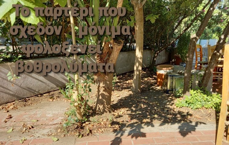 Κάτοικοι Ηλιακού Χωριού: «Πότε θα γίνει το τοιχάκι για τα παρτέρια;»