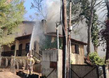 Βλ. Σιώμος στην «Α»: «Αποτρέψαμε την επέκταση της φωτιάς προς Κηφισιά και Πεντέλη»