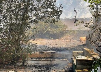 Βλ. Σιώμος στην «Α»: «Αποτρέψαμε την επέκταση της φωτιάς προς Κηφισιά και Πεντέλη»