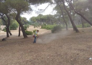 Συνεχίζεται με εντατικούς ρυθμούς το πρόγραμμα καθαρισμών & αποψιλώσεων του ΣΠΑΠ